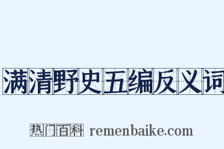 满清野史五编反义词是什么意思的图片